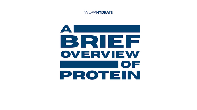 A Brief Overview about Protein